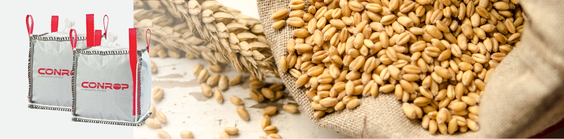 Crop bags are used in agriculture for the transport and storage of crops. It differs from food bags mainly in the requirement for a breathable fabric that ventilates and the same certification is not required. They are often made of so-called ventila